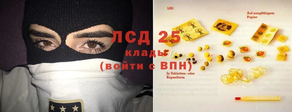 индика Абинск