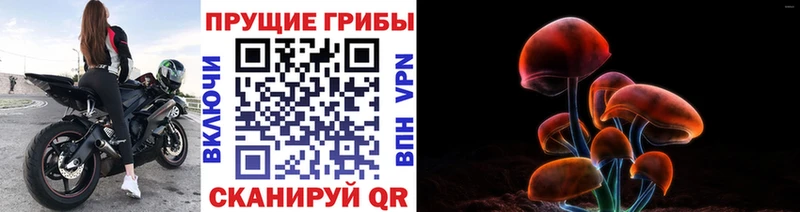 Галлюциногенные грибы мицелий  мориарти клад  Сухой Лог  где найти наркотики 